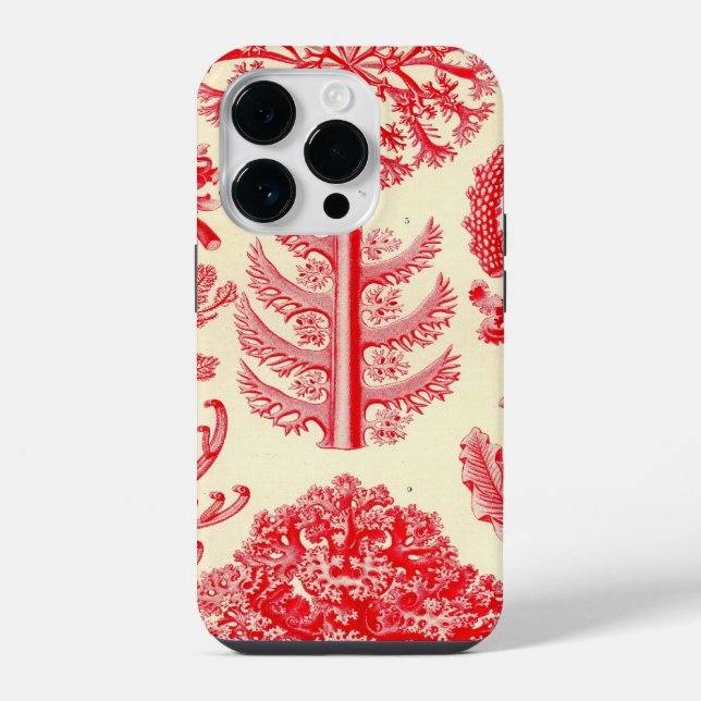 Coque iPhone Vintage Haeckel (Verso)