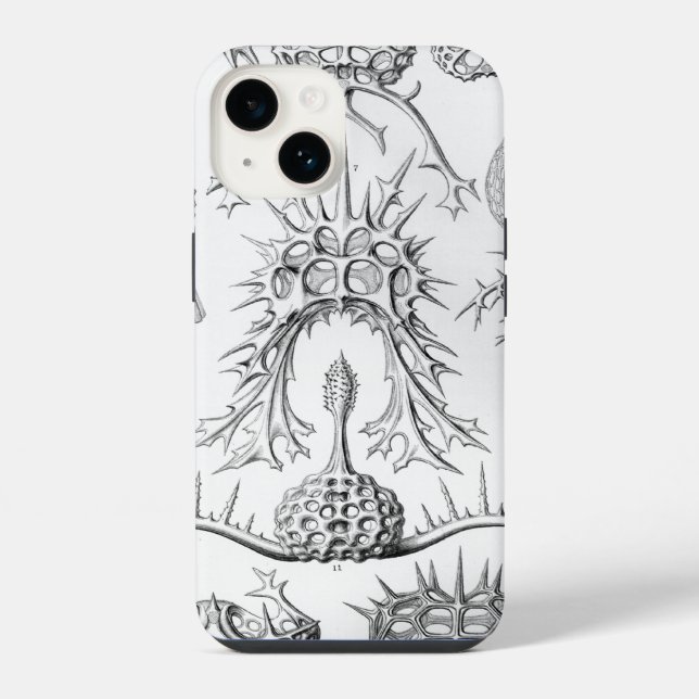 Coque iPhone Vintage Haeckel (Verso)