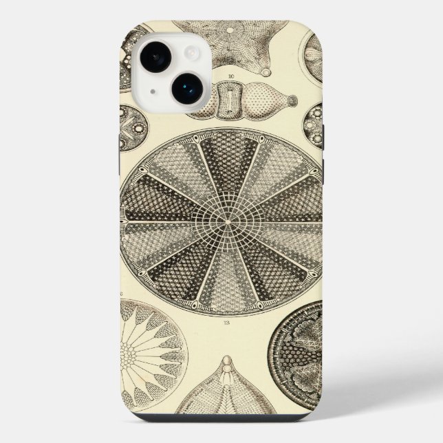 Coque iPhone Vintage Haeckel (Verso)