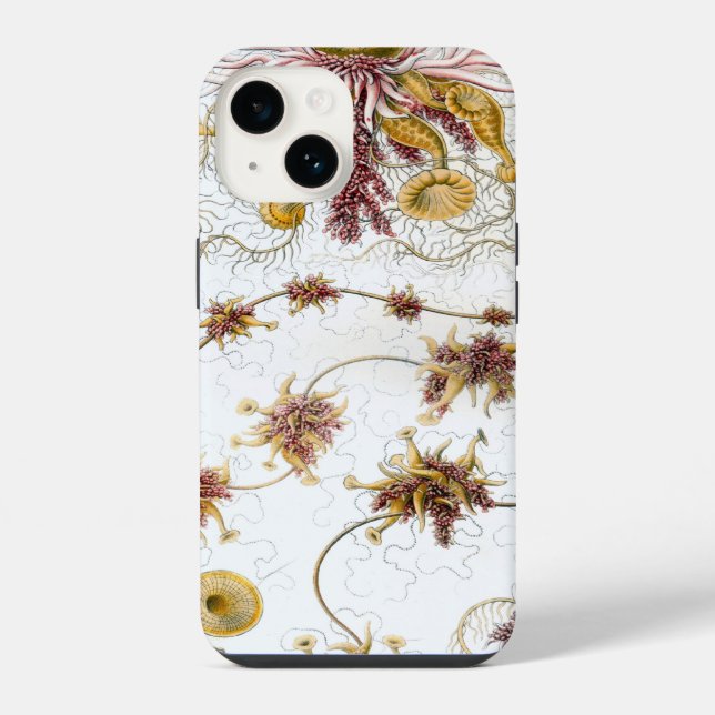 Coque iPhone Vintage Haeckel (Verso)