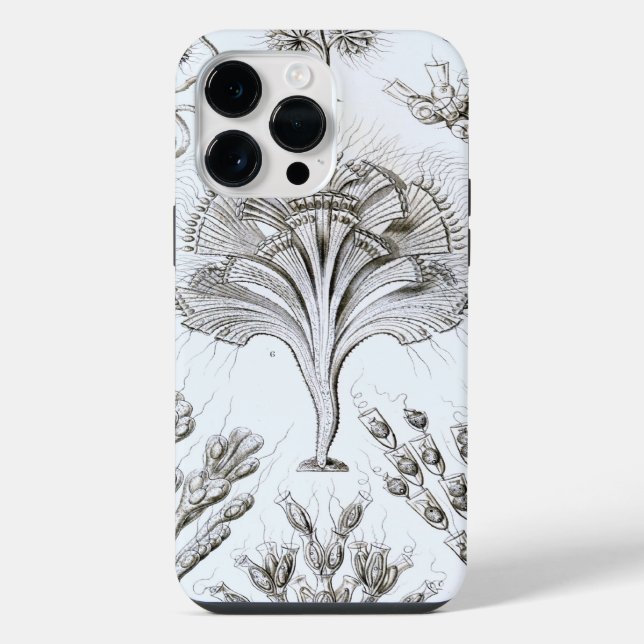 Coque iPhone Vintage Haeckel (Verso)