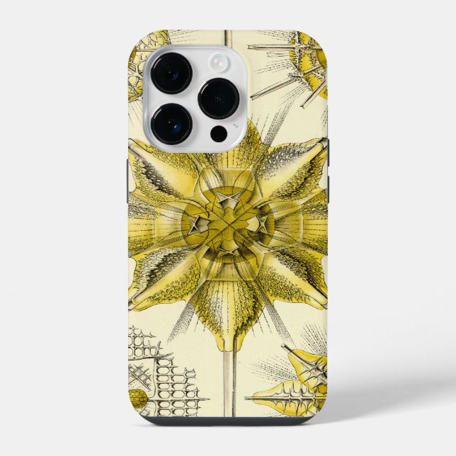 Coque iPhone Vintage Haeckel (Verso)