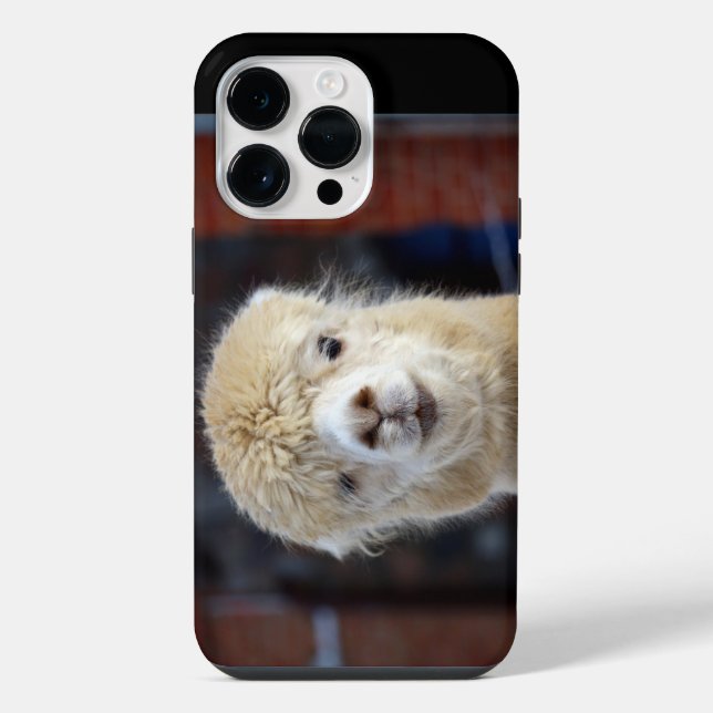 Coque iPhone Visage d'alpaca mignon         (Verso)