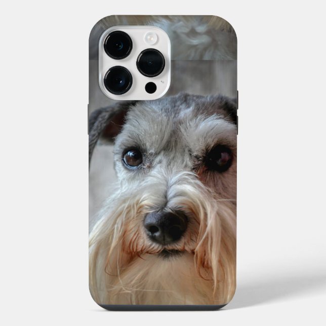 Coque iPhone Visage de chien Schnauzer (Verso)