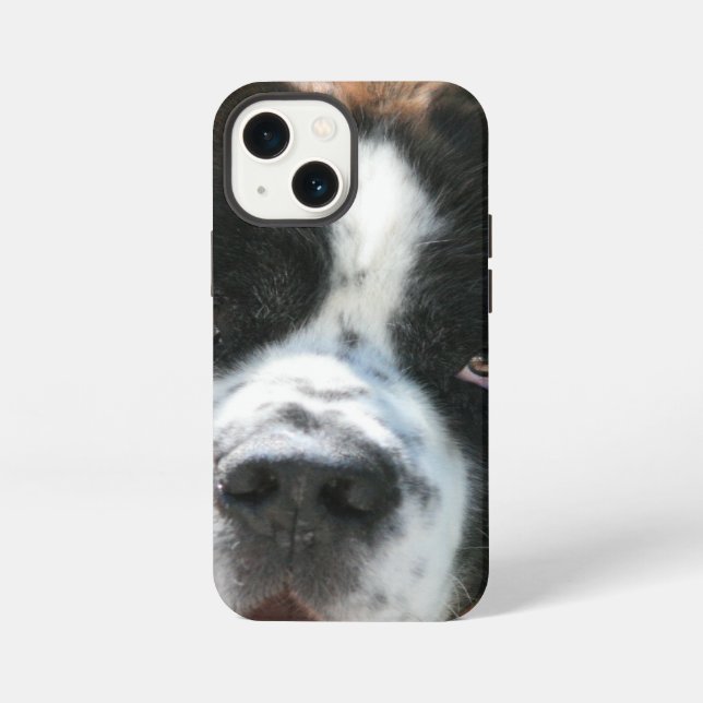 Coque iPhone Visage de Saint-Bernard (Verso)