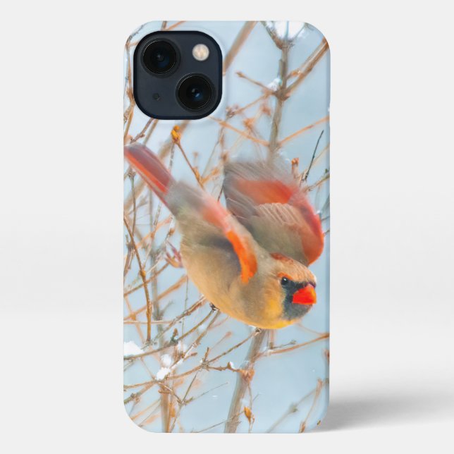 Coque iPhone Vol Cardinal Nord - Photo originale (Verso)
