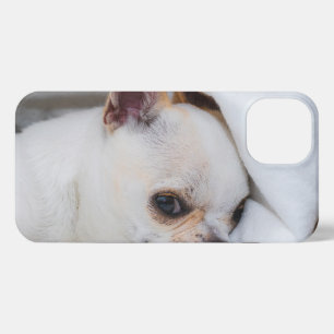 Etui iPhone 13 Votre chiot chien de compagnie photo personnalisée