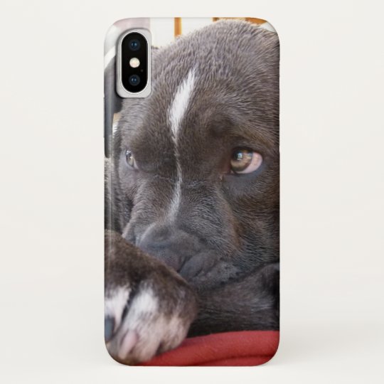coque iphone x pitbull coque iphone x pitbull