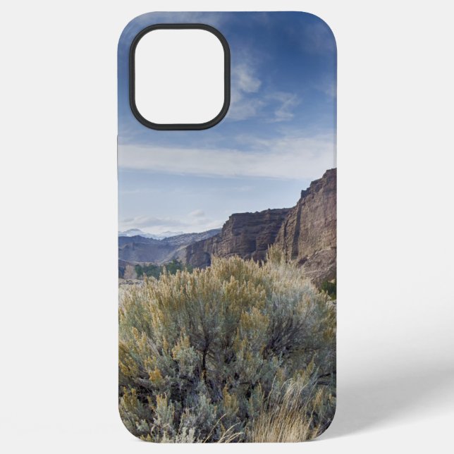 Coque iPhone Yellowstone (Verso)
