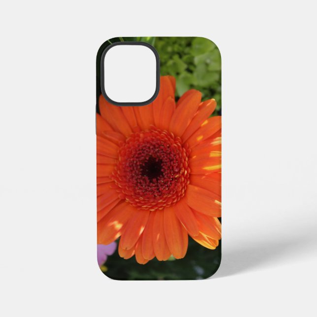 Coque iPhone Zinnia (Verso)
