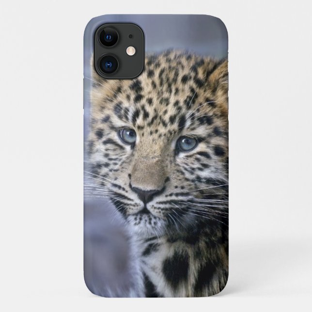 Coque Leopard Cub iPhone 11 (Dos)