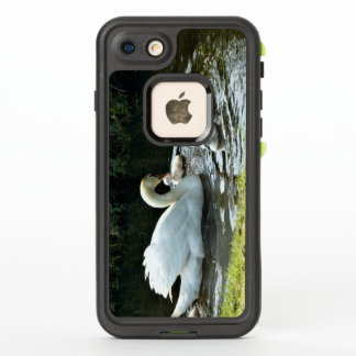 Cygne blanc avec poules