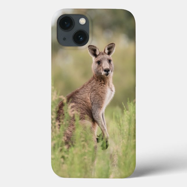 Coque-Mate à peine Il Apple iPhone 13 Coque (Verso)