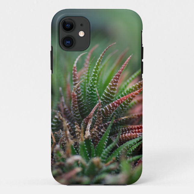 Coque-Mate Tough Apple iPhone 11 Coque (Dos)