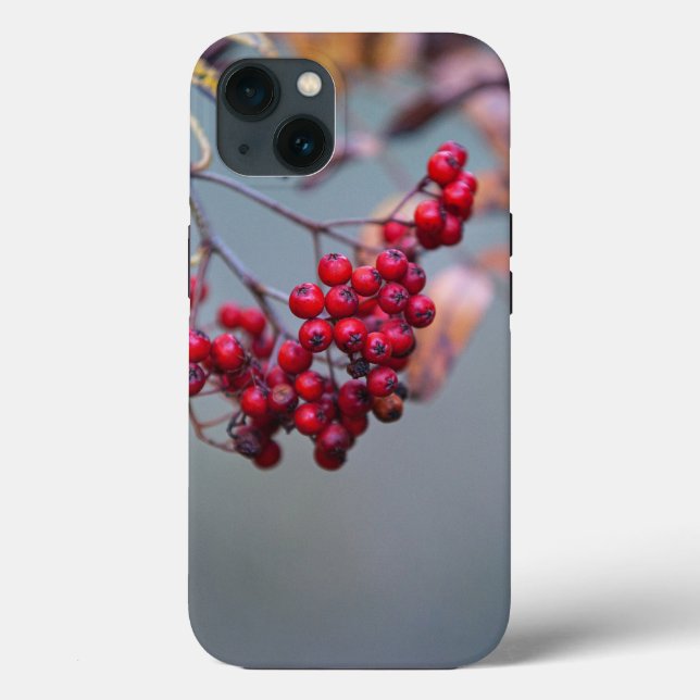 Coque-Mate Tough Apple iPhone 13 Coque (Verso)