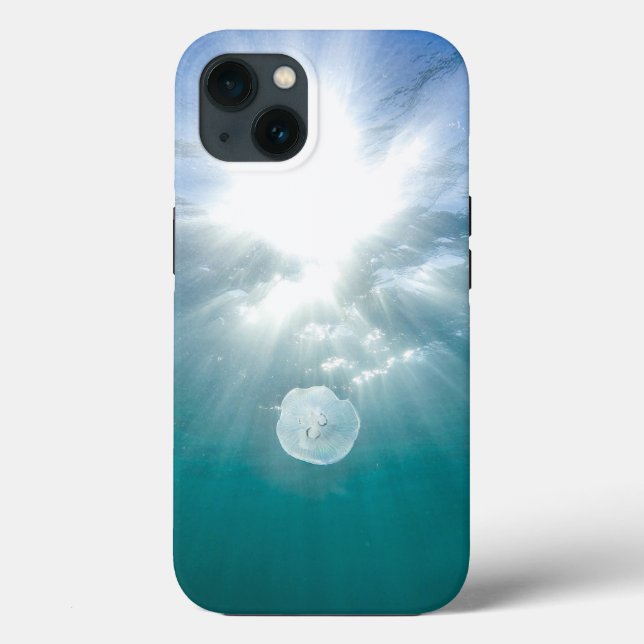 Coque-Mate Tough Apple iPhone 13 Coque (Verso)