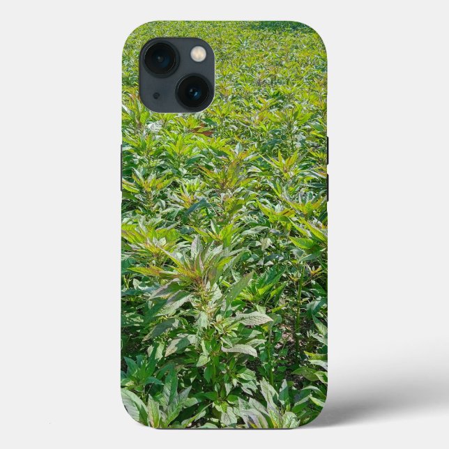 Coque-Mate Tough Apple iPhone 13 Coque (Verso)
