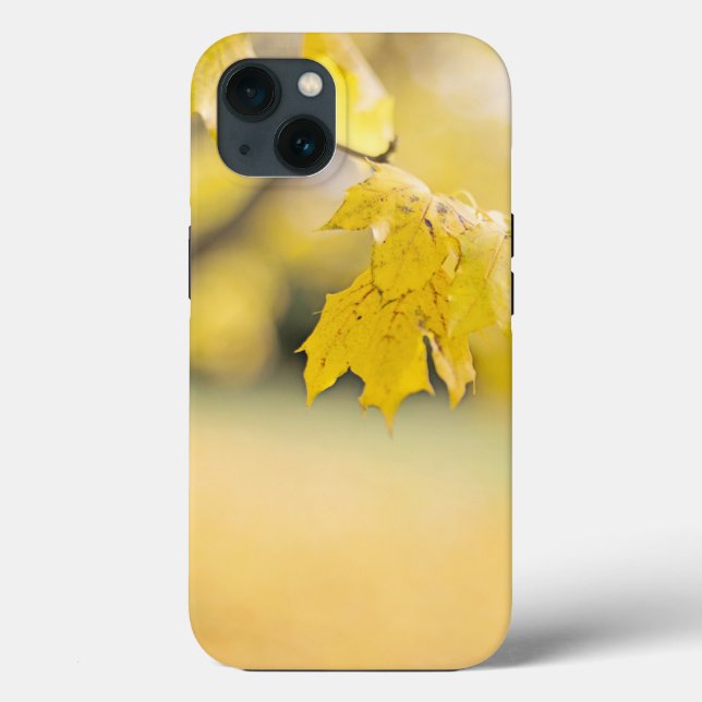 Coque-Mate Tough Apple iPhone 13 Coque (Verso)