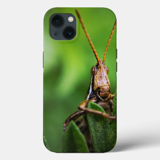 Coque-Mate Tough Apple iPhone 13 Coque (Verso)