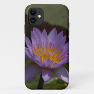 Coque Nénuphar Lotus Violet-coque iphone Mate
