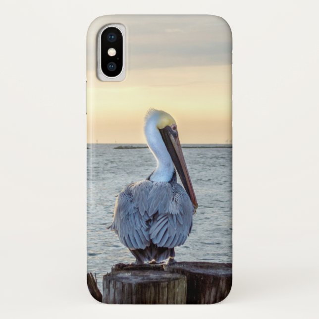 Coque Pélican iPhone X (Dos)
