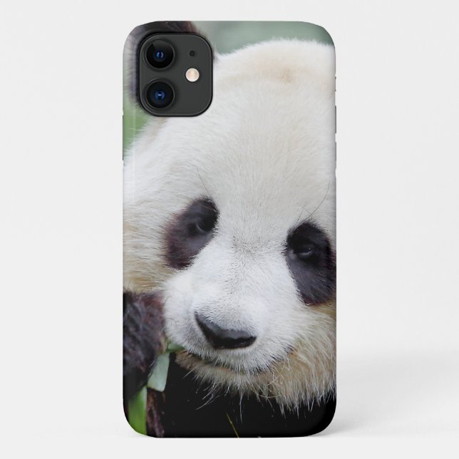 Coque Photo géant panda, panda gant, animaux. (Dos)