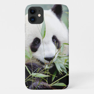 Coque Photo géant panda, panda gant, animaux.
