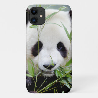 Coque Photo géant panda, panda geant , animaux.