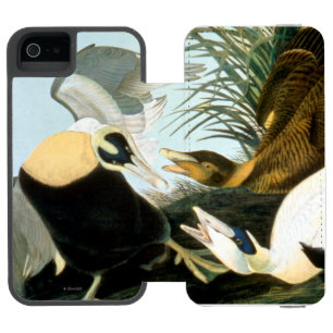 Coque-portefeuille iPhone 5 Incipio Watson™ Audubon : Canard d'Eider