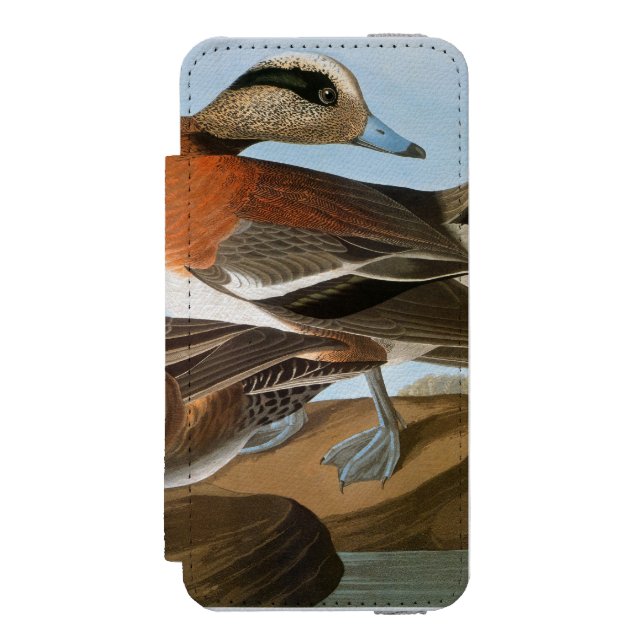 Coque Portefeuille Incipio Pour iPhone Audubon : Canard siffleur (Folio Devant)