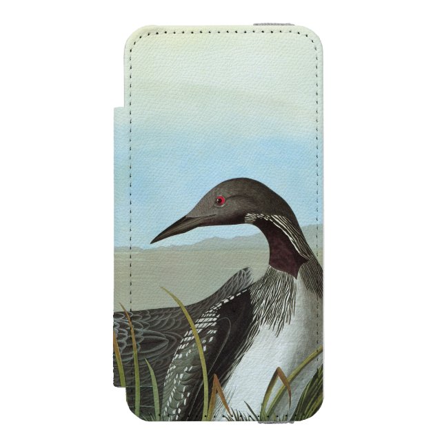 Coque Portefeuille Incipio Pour iPhone Audubon : Dingue arctique (Folio Devant)