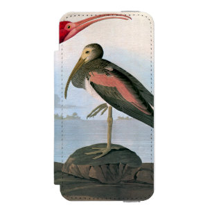 Coque-portefeuille iPhone 5 Incipio Watson™ Audubon : Écarlate IBIS