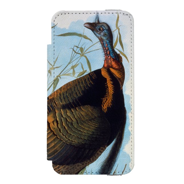 Coque Portefeuille Incipio Pour iPhone Audubon : La Turquie sauvage (Folio Devant)