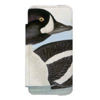 Audubon : Le Goldeneye de la brouette