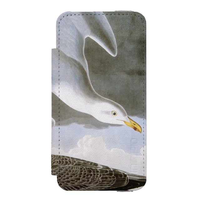 Coque Portefeuille Incipio Pour iPhone Audubon : Mouette d'harengs (Folio Devant)
