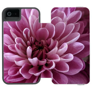 Coque-portefeuille iPhone 5 Incipio Watson™ Conception de photo de fleur de chrysanthème rose