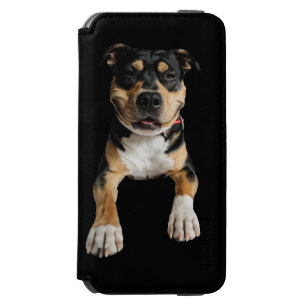 coque iphone 6 amstaff coque iphone 6 amstaff