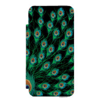 Illustration avec des plumes de paon sur le noir