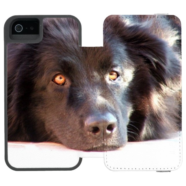Coque Portefeuille Incipio Pour iPhone newfoundland-3 (Folio Ouvert)