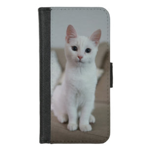 Coque Portefeuille Pour iPhone 8/7 American white shorthair