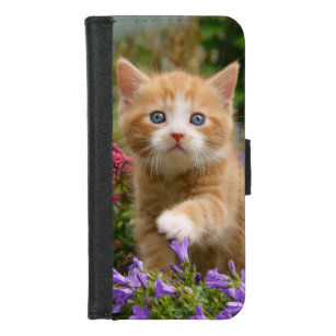Coque Portefeuille Pour iPhone 8/7 Bébé mignon Chat Kitten Animal de compagnie jouant