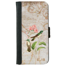 Colibri de gemme de montagne
