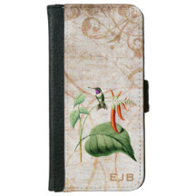 Colibri étoilé