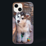 Coque Pour iPhone 14 Alaskan Malamute Puppy Head Tilt Photograph<br><div class="desc">This phone case is adorned with a cute close up photograph of an Alaskan Malamute puppy with a yellow and green colorful rope and chew toy.</div>