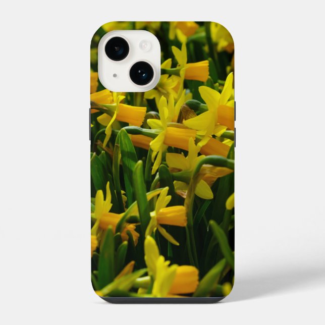 Coque Pour iPhone 14 Coque iphone de famille Daffodil (Verso)