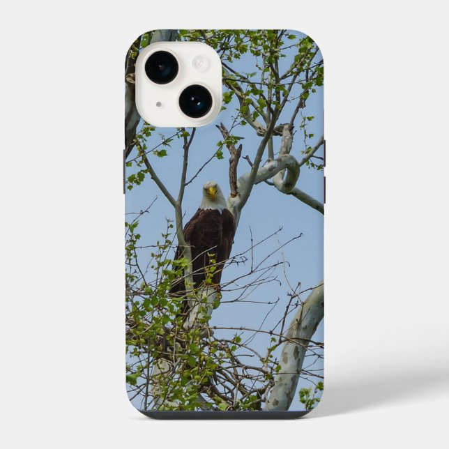 Coque Pour iPhone 14 Coque iphone du sourire de Bald Eagle (Verso)