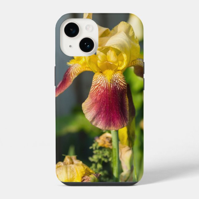 Coque Pour iPhone 14 Heirloom Iris coque iphone (Verso)