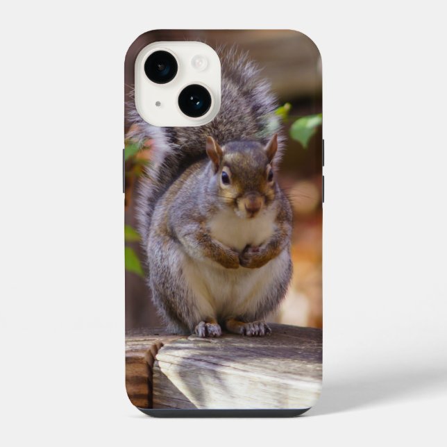 Coque Pour iPhone 14 Mendier le coque iphone d'écureuil (Verso)