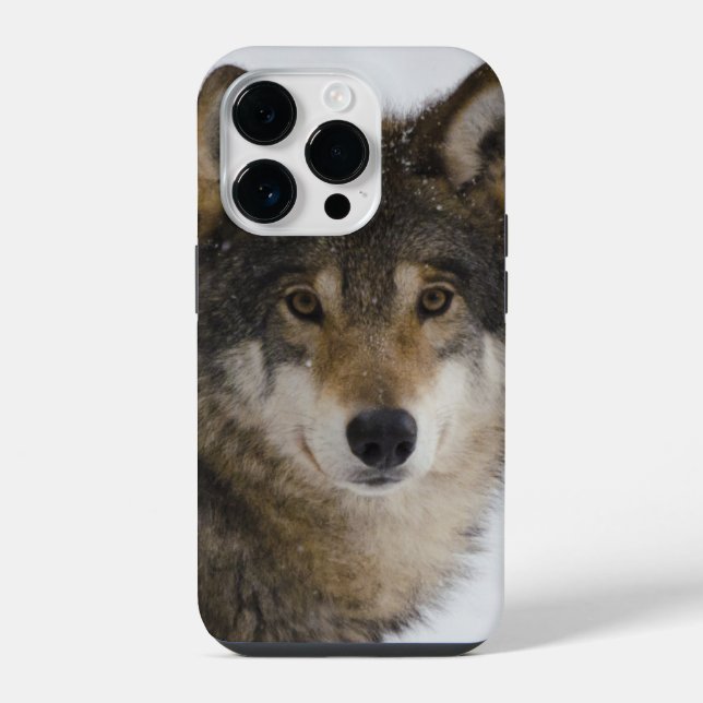 Coque Pour iPhone 14 Plus Wolf Face iPhone / coque ipad (Verso)