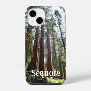 Coque Pour iPhone 14 Sequoia National Forest iPhone 14 Coque